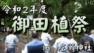 【文月】御田植祭(御田植の神事)＠広瀬神社【令和2年度】