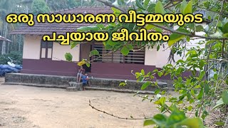 അലങ്കാരങ്ങൾ ഇല്ലാത്ത വീട്ടമ്മ |Day in my  life | Village lifestyle