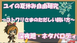 【深夜廻・ネタパロディ】ユイの自由研究発表～コトワリさまのただしい飼い方～