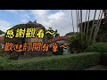 【桃園景點】壽山巖觀音寺是桃園最古老的廟宇也是國內的三級古蹟，裡面供奉著與眾不同的男相觀音菩蕯，廟前的中式庭園很是美麗，廟旁還種植了不少櫻花，是桃園一處賞櫻祕境，來此除了進香之外也是賞櫻的好地方。