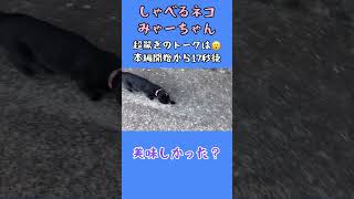 しゃべるネコミャーちゃん(ありがとう編） #黒猫 #しゃべる猫 #喋る猫 #ミャーちゃん