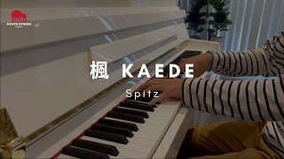 楓 (Kaede) - Spitz