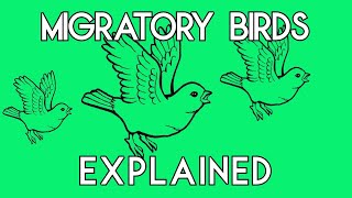 How to Solve HackerRank's Migratory Birds Problem in Java