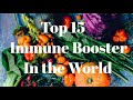 Immune Booster- Top 15 Supper Foods in the World