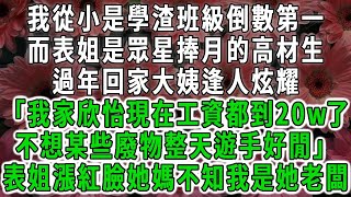 我從小是學渣班級倒數第一，而表姐是眾星捧月的高材生，過年回家大姨逢人炫耀「我家欣怡現在工資都到20w了，不想某些廢物整天遊手好閒」表姐漲紅臉她媽不知我是她老闆#荷上清風#爽文