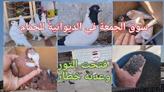 سوق الجمعة في الديوانية للحمام. فتحت التور. وعدنه خطار بالسطح 😁لايك للمقطع حبايب قلبي 👍