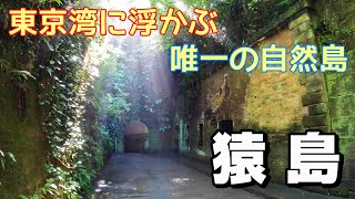 【島旅】東京湾に浮かぶ唯一の自然島　神奈川県猿島をひとり旅〈御船印20社達成！〉