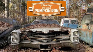 Flemings Pumpkin Run 2024