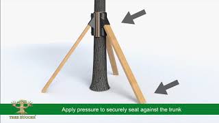 TREE HUGGER® Fixed Tree Brace™ System