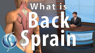 What is a Back Sprain?