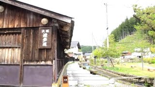 山形県金山町の観光地巡り 　金山大堰、八幡公園、大美輪の杉