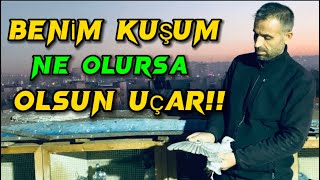 “KUŞA ACIRSAN O KUŞ UÇMAZ - BENİM KUŞUM YAĞMURDA YİNE UÇAR ! Karışmacı Hüseyin cuca ( saddam )