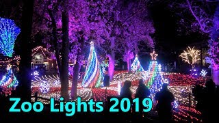 Lincoln Park Zoo Lights 2019 🎄 4K ☃️ Spectacular Holiday Light Show Chicago