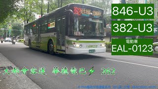 大都會客運 262 華德電巴