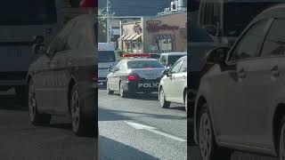 🚨兵庫県警🚨パトカー🚨パトロール🚨赤色灯🚨　#shorts