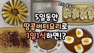 땅콩버터로 1일1식 다이어트하면 몇 kg 빠질까?