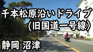 千本松原沿いドライブ（旧国一）沼津市東間門交差点～富士市東柏原　Senbonmatsubara