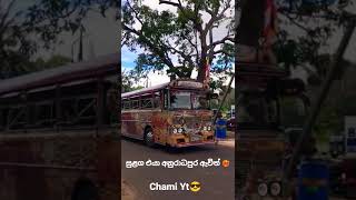 එයා අද අනුරාධපුරයේදී 😍❤️‍🔥#bus #anuradhapura #viral #shorts #views_viral_video_subscribers_grow 😍