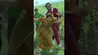 #RaviTeja | Hai Re Hai Song | #YtShorts | Sindooram Telugu Movie Song | Sanghavi | Krishna Vamsi