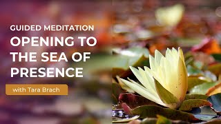 Guided Meditation: Opening to the Sea of Presence with Tara Brach