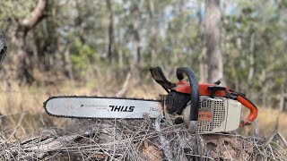 Stihl 032AV WarHorse Cutting Australian Hardwood