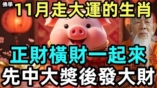 11月走大運的4个生肖，正財橫財一起來，先中大奬後發大財！