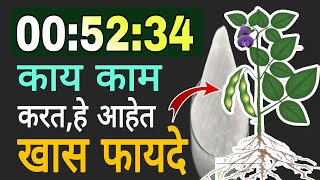 00:52:34 विद्राव्य खत | संपूर्ण माहिती | 0:52:34 Water Soluble Fertilizer | Dnyaneshwar Kharat Patil