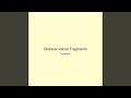 Shadow Velvet Fragments