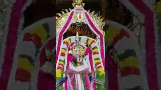 srivaikuntam kallapiran 5th day Garuda sevai