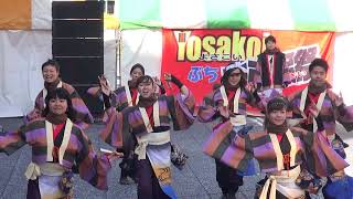 仁双弐心　２０１７　YOSAKOIぶち楽市民祭　みずほ銀行前会場