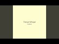 Tranquil Whisper