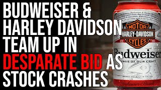 Budweiser & Harley Davidson TEAM UP In DESPARATE Bid As Stock Crashes