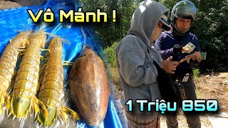 Tháo Đáy Trúng Tôm Tít Khủng Bán Kiếm Tiền Triệu | GĐCG #718