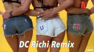 DC Richi - Fun (Pitbull ft. Chris Brown) Remix