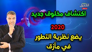 مع الكحيل 11 مخلوق جديد يكتشف في 2020 يضع نظرية التطور في مأزق