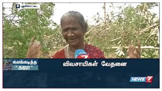 தங்களுடைய ஒட்டுமொத்த வாழ்வாதாரத்தையும் இழந்து பரிதவிக்கும் புதுக்கோட்டை விவசாயிகள்