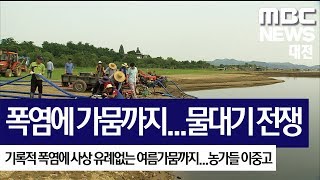 [대전MBC뉴스]폭염에 가뭄까지..타들어가는 농심