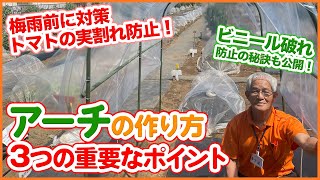 梅雨が始まる前にマスターしたい！トマトの身割れを防止するアーチ栽培の方法！春夏野菜の病気も予防！組み立て方のコツ！【家庭菜園】【支柱】