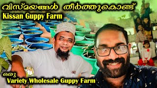 വിസ്മയങ്ങൾ തീർത്തുകൊണ്ട് Kissan Guppy Farm | Variety Wholesale Guppy farm in Kerala