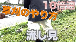 スッキリ！【草刈機の鉄則】右から左がセオリーです。１０倍速で流し見する草刈。草刈のやり方。11月