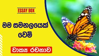 මම සමනලයෙක් වෙමි 2024 | 3,4,5 ශ්‍රේණි සඳහා රචනා | සමනලයෙක් කතා කරයි |Butterfly Sinhala essay