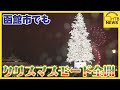 ベイエリア高さ20ｍトドマツのツリー　五稜郭タワーにしがみつくのはサンタさん　函館クリスマスモード全開