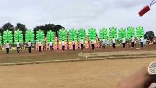 Badak festival Joining Megayon Festival in Zamboanga del Sur 2nd place Tribu Auroranhon 2014