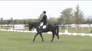 Tall Story Dressage Tattersalls 2013