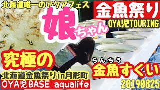 【アクアリウム ／北海道金魚祭り】  北海道で唯一の月形町アクアフェスで娘ちゃんがアレで金魚掬いまくり！／らんちう、らんちゅう、オランダ、琉金、出目金、メダカ、昆虫、20190825