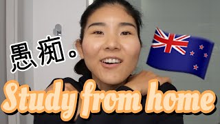 【ニュージーランドワーホリ】Study from home + 本音 🇳🇿✏️🏠 #178