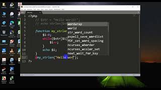 Count String Length without built in function in php