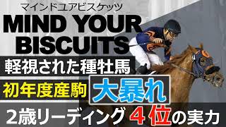 【種牡馬】軽視された種牡馬が2歳リーディング4位「マインドユアビスケッツ」初年度産駒