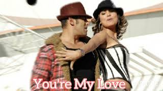 You're My Love ( slowed + reverb ) Salman Khan , Lara Dutta | Partner