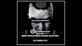 ELECTRONATION [260] NO FALSE PROPHETS (EBM  INDUSTRIAL MIX)